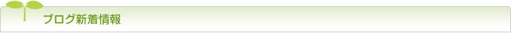 ブログ新着情報